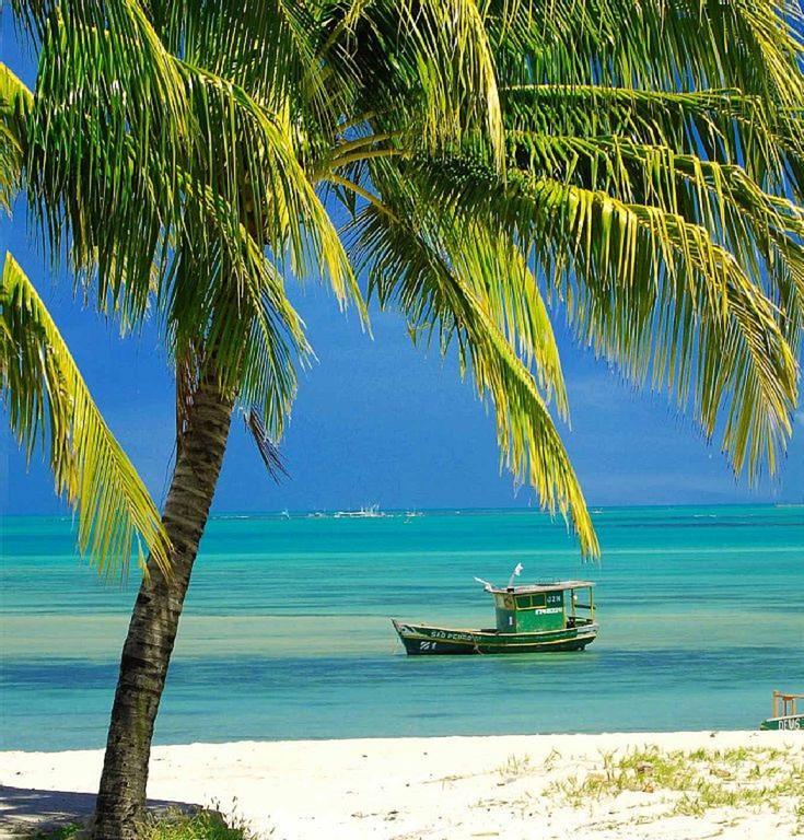 Apartamento Praia Jatiuca Maceió المظهر الخارجي الصورة